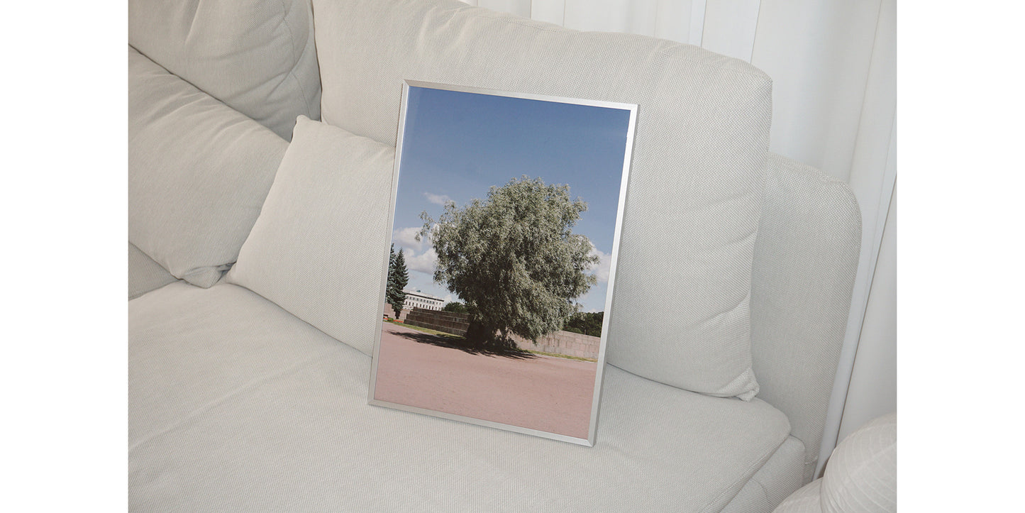 The tree photoprint - Oat Archive 오트아카이브 - CAVA LIFE