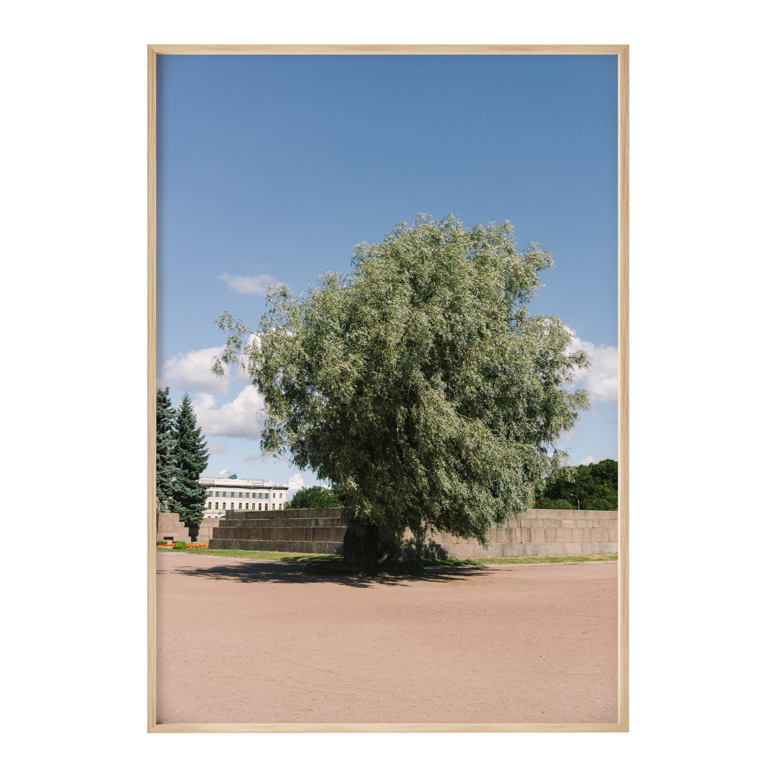 The tree photoprint - Oat Archive 오트아카이브 - CAVA LIFE